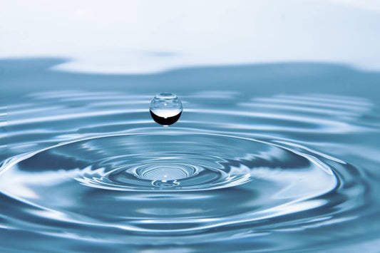 10 Ways to Conserve Water Without Sacrificing Experience - Showery
