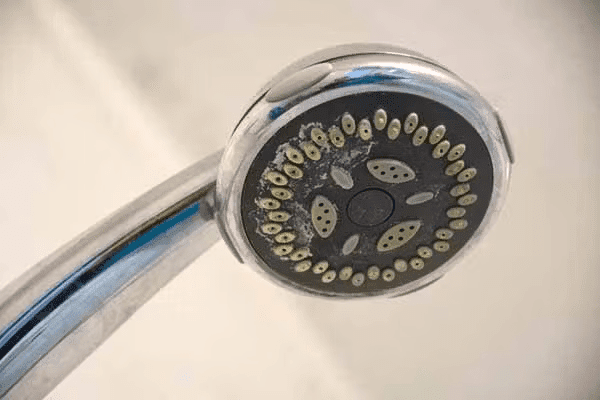 Say Goodbye to Mineral Buildup on Your Showerhead