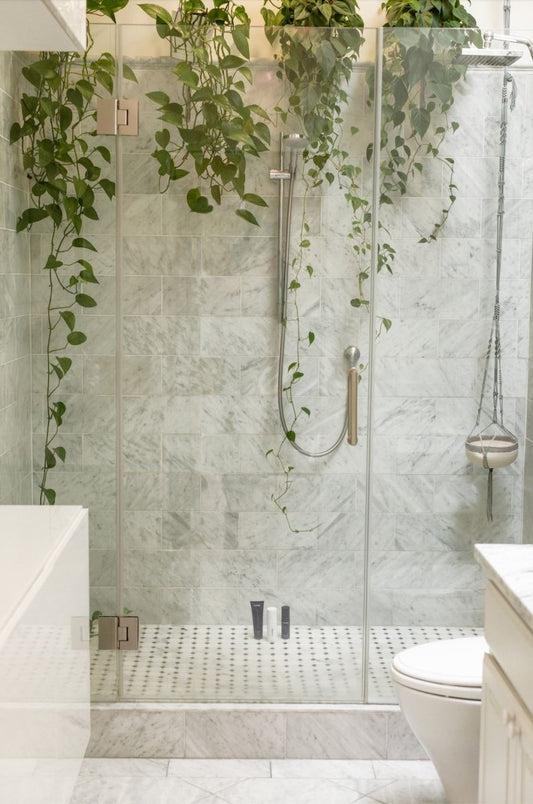 The Best Shower Head to Suit Your Needs - Showery