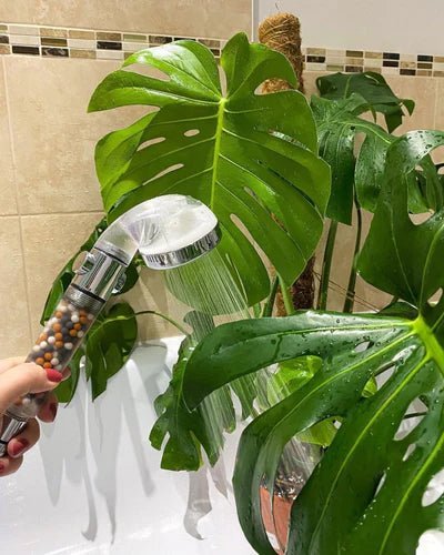 The Science Behind Water Pressure Effects - Showery
