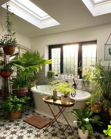 Eco-friendly Bathroom Products Maintenance Tips - Showery